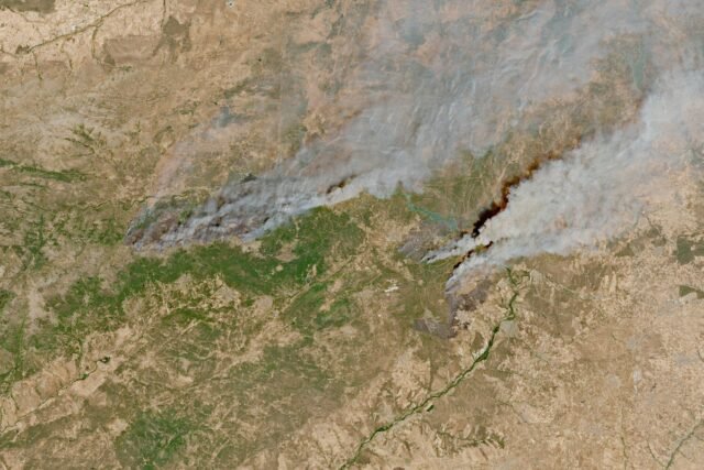 1785125697_2026-07-25T114924Z_1351752906_RC2ZKMAJG4G0_RTRMADP_3_EUROPE-WEATHER-WILDFIRE-SPAIN.JPG
