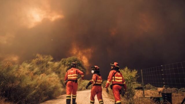 1785418432_incendie_espagne_credits_handout_ume_afp_6a6b3dd8e7b79.jpg