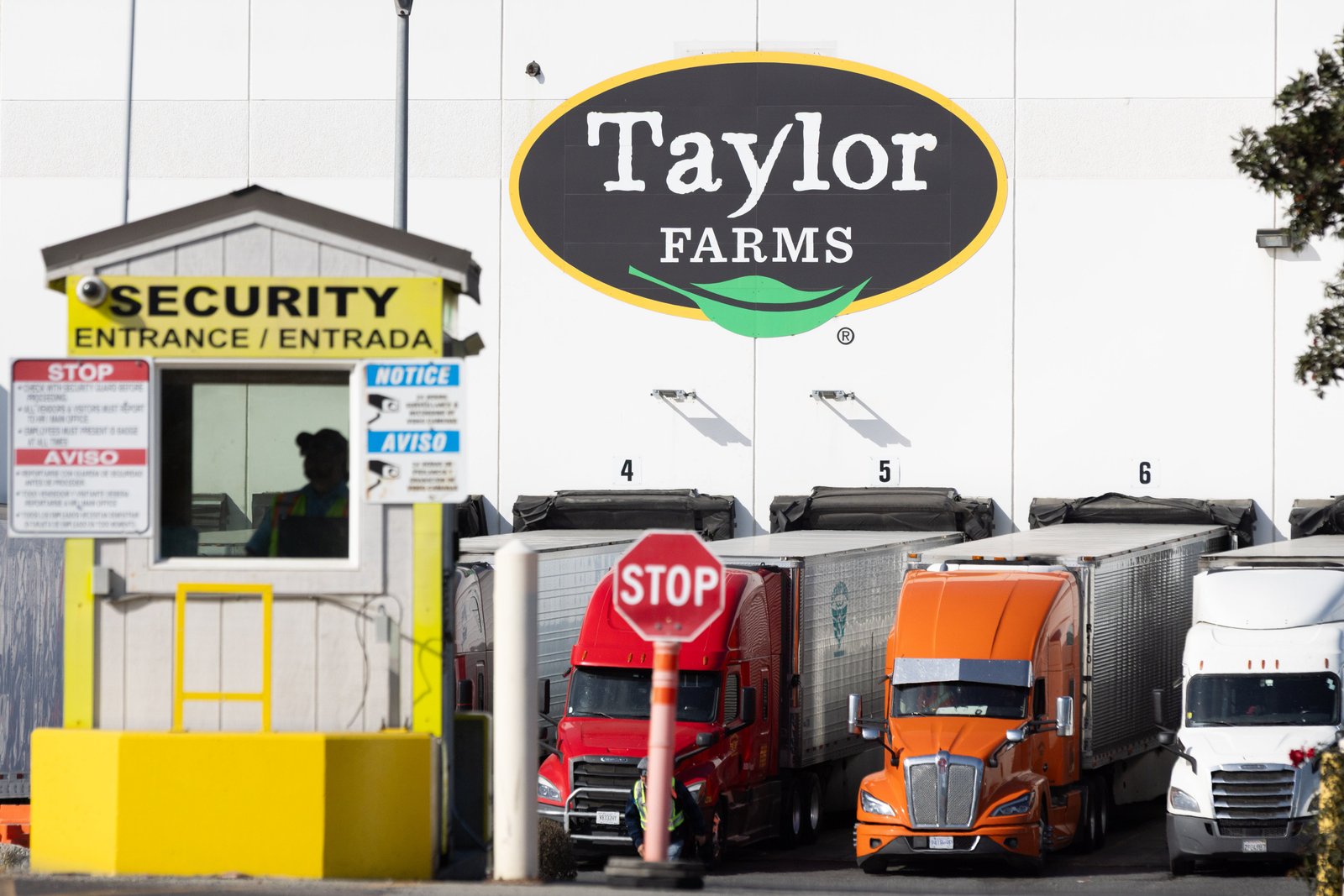 Taylor Farms បានចេញការប្រមូលយកសាឡាត់ផ្ទាំងទឹកកកដោយស្ម័គ្រចិត្តពីភាគកណ្តាលម៉ិកស៊ិក