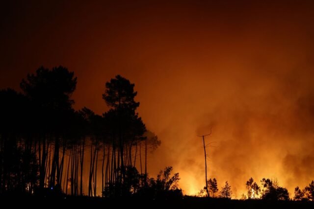 2497479-une-zone-boisee-en-proie-aux-flammes-lors-d-un-inc.jpg