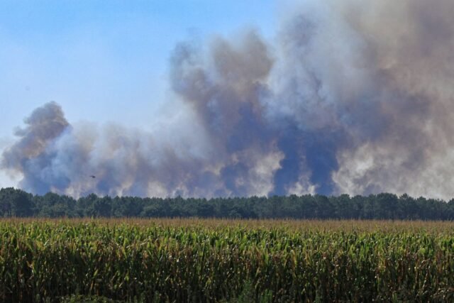 2501791-photo-lors-d-une-reprise-de-feu-a-blagon-en-girond.jpg