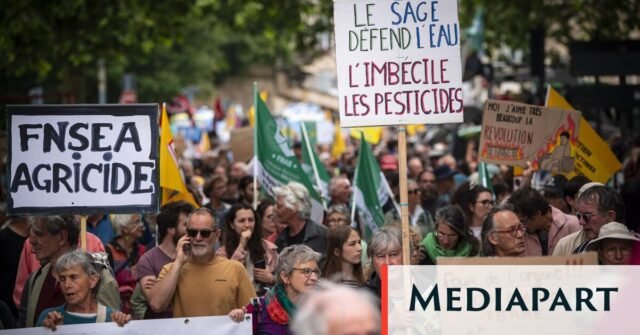 260720-img-marc-andre-selosse-sur-la-loi-durgence-agricole-nos-responsables-politiques-sont-incapabl.jpeg