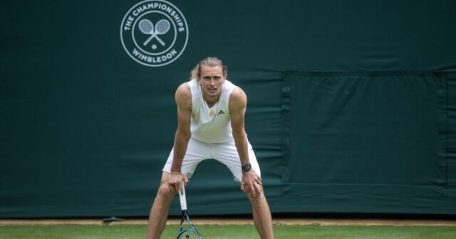 7018352.jpg