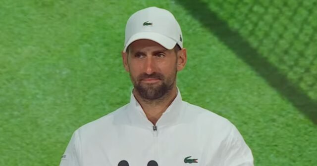 7034183.jpg