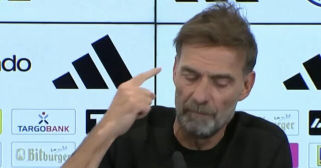 7059835.jpg