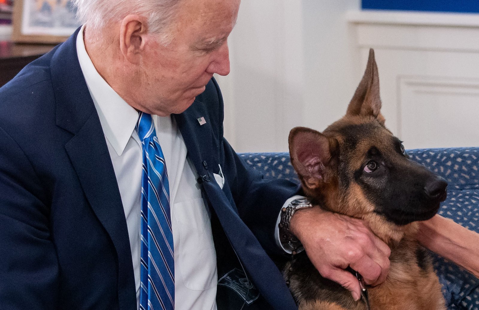 Joe Biden ចិញ្ចឹមឆ្កែរបស់គាត់ Commander