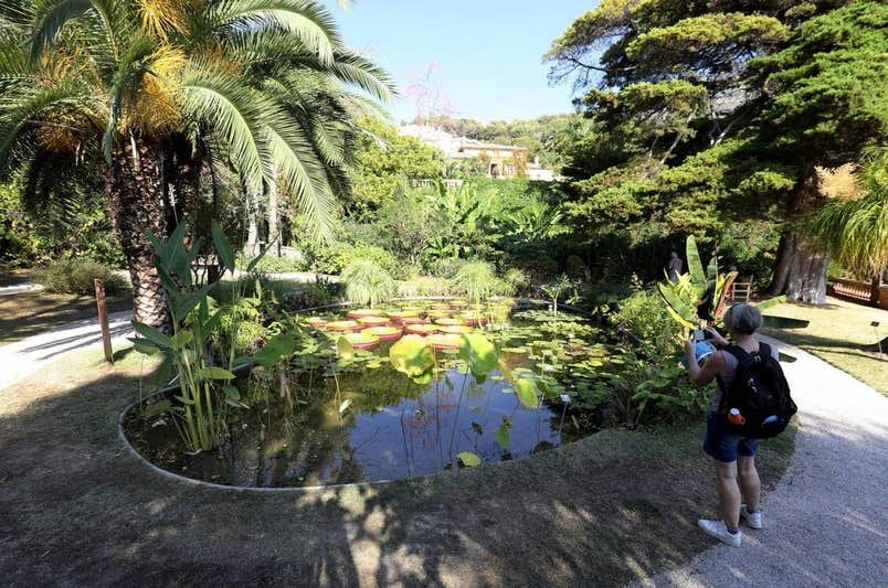 សួនរដូវរងា Val Rahmeh Winter Garden and Acclimatization Garden គឺជាផ្ទះនៃរុក្ខជាតិពិសេសជាច្រើនដែលមានដើមកំណើតនៅតំបន់មេឌីទែរ៉ាណេ តំបន់ត្រូពិច និងត្រូពិច។