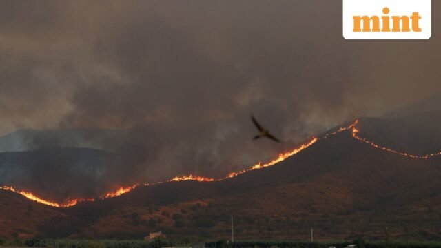 EUROPE-WEATHER-SPAIN-WILDFIRE-36_1783731365789_1783731373260_2390e2ed-a2df-4aba-a4d5-3b218034bfd3.JP_.jpeg