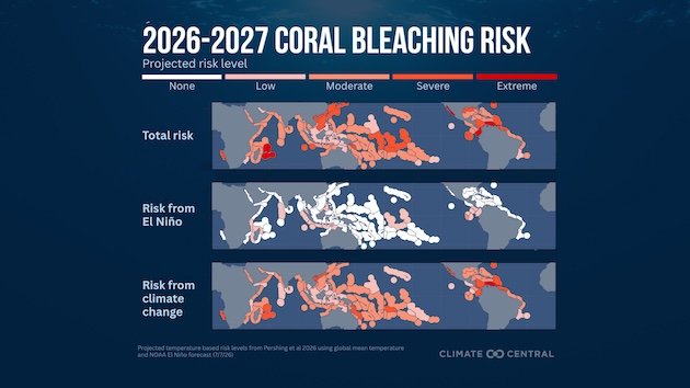 ឆ្នាំ 2026-2027 បានព្យាករណ៍ពីផែនទីហានិភ័យនៃការ bleaching ។ របាយការណ៍ដែលបានចេញផ្សាយនៅក្នុង Oceanography អះអាងថា ស្ទើរតែទាំងអស់នៃព្រឹត្តិការណ៍ bleaching ផ្កាថ្មជាសាកលក្នុងរយៈពេល 40 ឆ្នាំចុងក្រោយនេះ នឹងមិនកើតឡើងដោយគ្មានការប្រែប្រួលអាកាសធាតុដែលបណ្តាលមកពីមនុស្សនោះទេ។ ឥណទានរូបថត៖ មហាសមុទ្រ