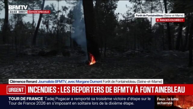 Incendies-de-Fontainebleau-malgre-la-nuit-et-un-feu-fixe-les-pompiers-toujours-presents-sur-place-po.jpeg