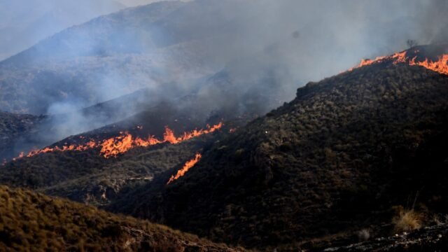 Les-flammes-se-propagent-pres-de-Bedar-dans-la-region-d-Almeria-dans-le-sud-de-l-Esapagne-le-10-juil.jpeg