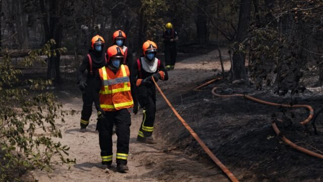 Les-pompiers-interviennent-sur-les-feux-ravageant-la-foret-de-Fontainebleau-le-14-juillet-2026-23219.jpeg