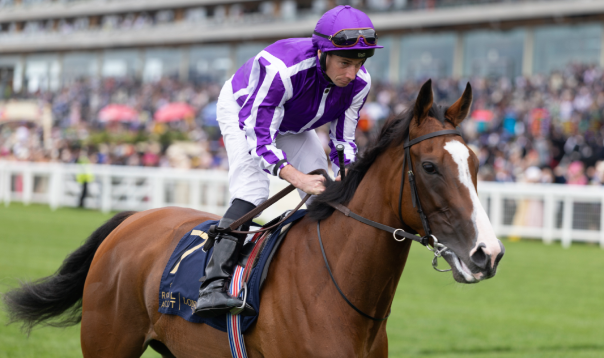 Minnie Hauk នៅ Royal Ascot ឆ្នាំនេះ។ Minnie Hauk នៅ Royal Ascot ឆ្នាំនេះ។