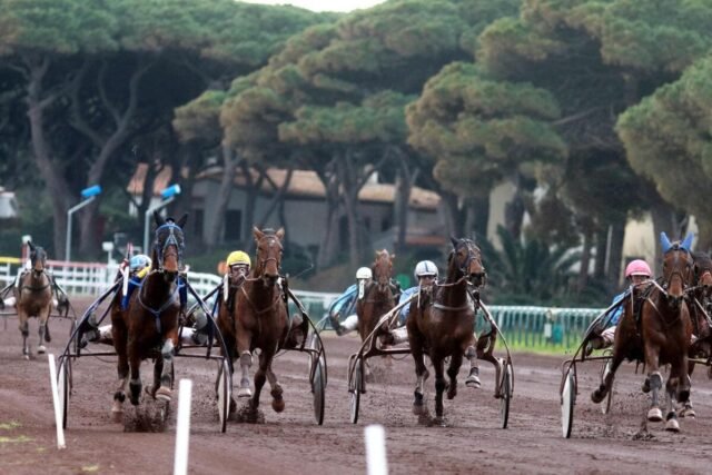 OG-10690349-1200-800-62be7ca_upload-1-jzgbtrtnhr8h-hyexxq900-lm-hyeres-courses-hippiques.jpg