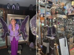 កោះ Treasure: នៅក្នុងហាងលក់វត្ថុបុរាណនៅ Hawaii ជាកន្លែងដែលទ្រព្យសម្បត្តិរបស់អ្នកមានដែលបានស្លាប់បាត់បង់ជីវិតត្រូវបានចាប់បាន