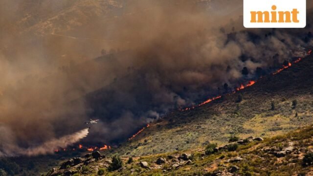 Spain-Wildfires-1_1784882689676_1784882701386_f77c2bd8-42b8-4dfe-97c0-13cf6926a79a.jpg