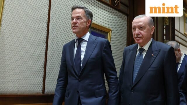 Turkey-NATO-Summit-63_1783361883450_1783361896005_99fbe117-5524-4ab1-b15f-d2eeb6c5fb3a.jpg