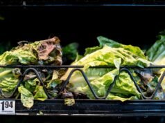 សាឡាត់ Taylor Farms ដែលត្រូវបានបញ្ជូនទៅ Taco Bell លេចចេញជាប្រភពសក្តានុពលនៃការផ្ទុះឡើងនៃជំងឺ cyclosporiasis នៅក្នុងសហរដ្ឋអាមេរិក៖ របាយការណ៍