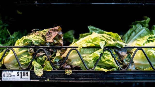 US-PRODUCE-PRICES_1784101208867_1784101208980_f1376f7e-515a-4acf-b97d-19fb20cdb4aa_1784246981335_48b.jpeg