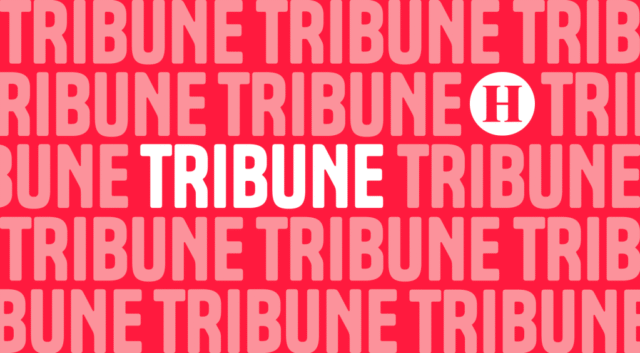 Vignette_2024_tribune_97bbf4_20b64d.webp.png
