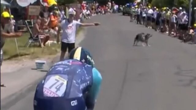 ae3f469_upload-1-5kb05jzjs4vf-capture-d-ecran-2026-07-21-172313.jpg