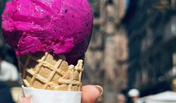 ពណ៌ fuchsia ប្លែកនៃផ្លែស្រកានាគ។ រូបថតរបស់ Florent Potier