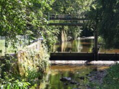 អាលសាស។ “វាគួរឱ្យភ័យខ្លាច”: 26 ° C វាស់នៅ Rhine, 30 ° C នៅ Fecht … ទន្លេត្រូវបានកំដៅខ្លាំងក្នុងអំឡុងពេលរលកកំដៅ