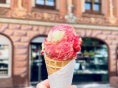 ទីក្រុង Strasbourg ។ Basil, ផ្លែស្រកានាគ, ផ្លែបឺរ … រសជាតិការ៉េមសិប្បករមិនធម្មតាចំនួនប្រាំមួយដើម្បីរីករាយក្នុងរដូវក្តៅនេះ។